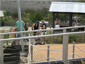  Attractions Melbourne