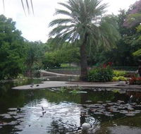 Brisbane City Botanic Gardens - Attractions Melbourne