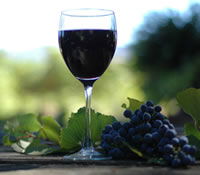 Book Mount Helena Accommodation Vacations Attractions Melbourne Attractions Melbourne
