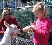 The Sun Herald Sydney Family Show - Attractions Melbourne 2