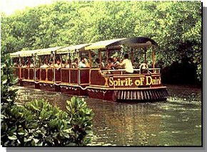 Daintree Rainforest River Trains - Attractions Melbourne 0