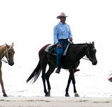 Ride the Beach - Attractions Melbourne