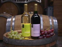 Beckingham Wines