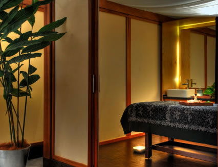 Pure Energy Concept Spas - Attractions Melbourne 2