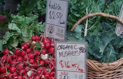 Collingwood Children's Farm - Attractions Melbourne 1