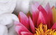Regeneration Health Spa - thumb 2