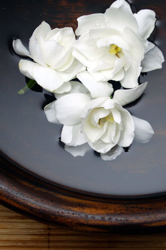 Temple Skincare - Attractions Melbourne 2