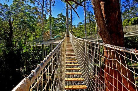FreemanX Experience - Attractions Melbourne 2