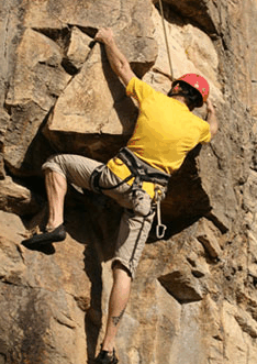 Adventures Around Brisbane - Attractions Melbourne 3
