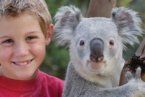 Featherdale Wildlife Park - Attractions Melbourne 1