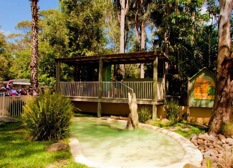 Featherdale Wildlife Park - Attractions Melbourne 2