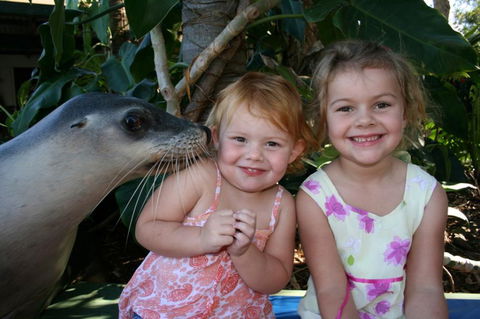 Dolphin Marine Magic - Attractions Melbourne 0