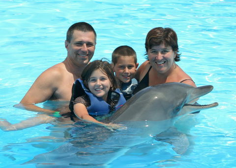 Dolphin Marine Magic - Attractions Melbourne 2