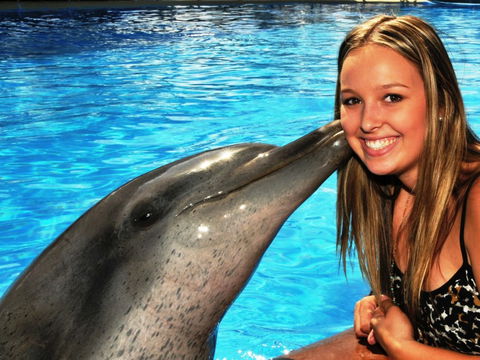 Dolphin Marine Magic - Attractions Melbourne 3