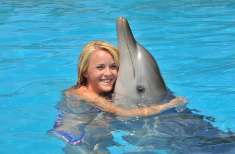 Dolphin Marine Magic - Attractions Melbourne 5