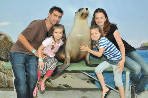 Dolphin Marine Magic - Attractions Melbourne 6