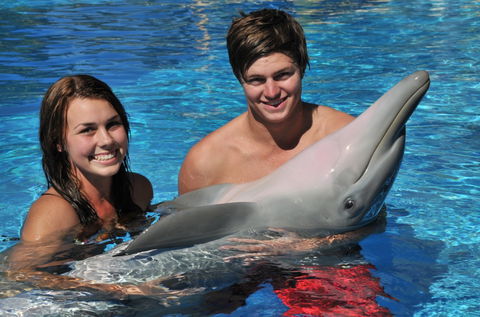 Dolphin Marine Magic - Attractions Melbourne 8