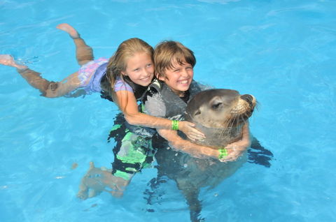 Dolphin Marine Magic - Attractions Melbourne 9