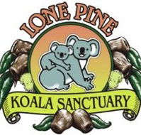 Lone Pine Koala Sanctuary - Attractions Melbourne