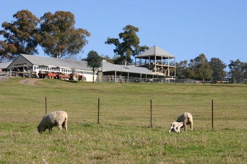Calmsley Hill City Farm - Attractions Melbourne 3