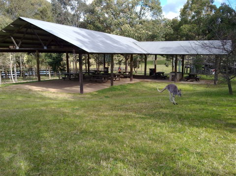 Calmsley Hill City Farm - Attractions Melbourne 5
