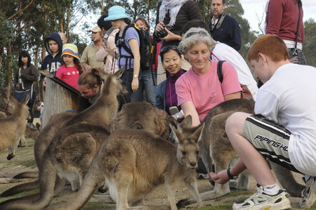 East Coast Natureworld - Attractions Melbourne 4