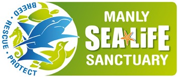 Manly SEA LIFE Sanctuary - Attractions Melbourne 0