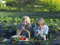 Book Beaconsfield Accommodation Vacations Attractions Melbourne Attractions Melbourne