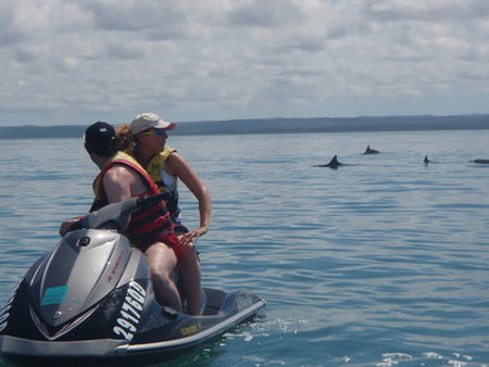 Aquavue Cafe Watersports - Attractions Melbourne 5