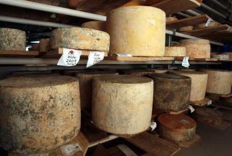 Witches Chase Cheese Co - Attractions Melbourne 3