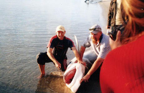 True Blue Fishing Charters - Attractions Melbourne 1