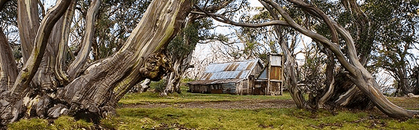 High Country Scenic Tours