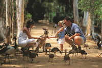 Book Townsville Accommodation Vacations Attractions Melbourne Attractions Melbourne