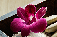 Blush Beauty Saloons - Attractions Melbourne 4