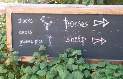 Collingwood Children's Farm - Attractions Melbourne 4