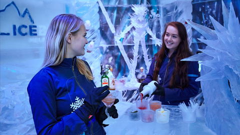 Icebar Melbourne - Attractions Melbourne 1