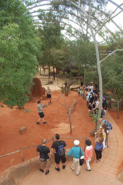 WILD LIFE Sydney Zoo - Attractions Melbourne 2