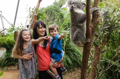 WILD LIFE Sydney Zoo - Attractions Melbourne 3