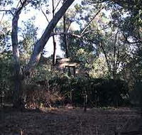 Ghost House Walk Trail Yanchep National Park - Attractions Melbourne