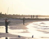 Busselton Beachfront