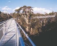 Book Walpole Accommodation Vacations Attractions Melbourne Attractions Melbourne