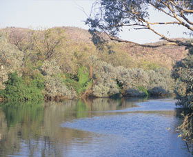 Alligator Hole - Attractions Melbourne 0
