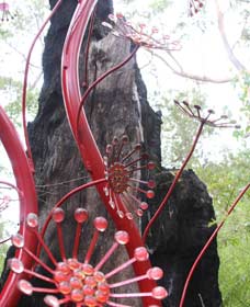 Understory Art In Nature - Attractions Melbourne 0