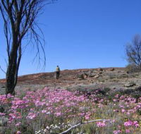 Talgomine Reserve - Attractions Melbourne