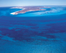 Dirk Hartog Island - Attractions Melbourne 0