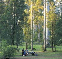 Big Brook Arboretum - Attractions Melbourne