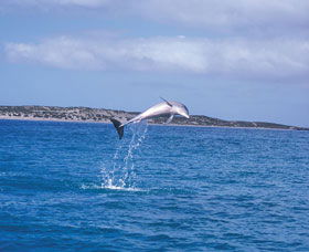 Steep Point - Attractions Melbourne 0
