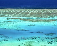 Christian Fletcher Photo Images - Dunsborough