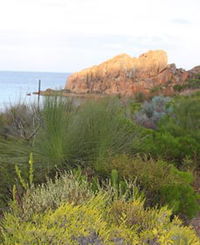 Meelup Trail