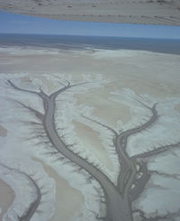 Tidal Flats
